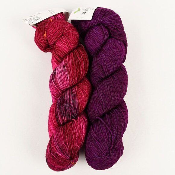 Dragonfly Fibers Dragon Sock Yarn Set Hand-Dyed SW Merino Wool Red Bud Jocelyn